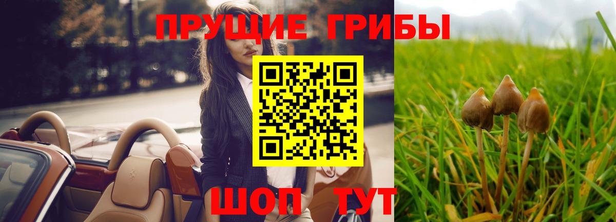 Псилоцибиновые грибы ЛСД Кириши