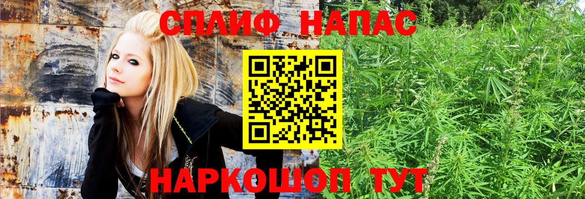 Кириши  Конопля Bruce Banner  Каннабис семена  Шишки марихуана Ganja  Вход с VPN 